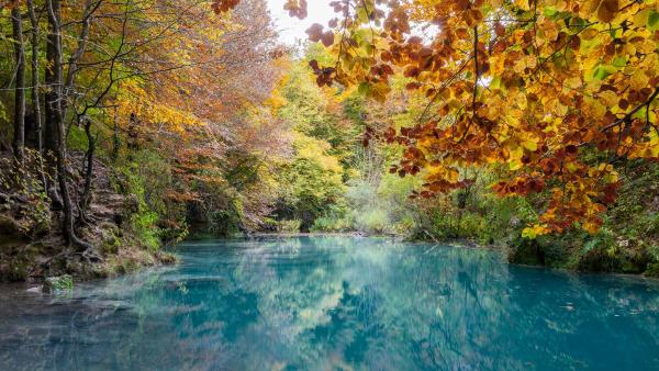 Urederra ibaiaren iturburuko ur gardenak